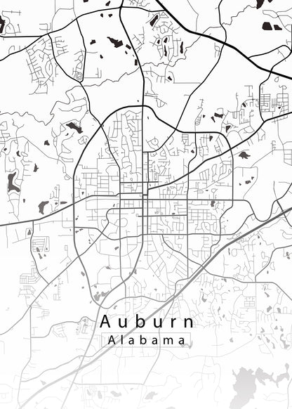 Auburn Alabama City Map white